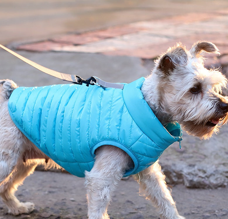 Keep Your Pets Cozy This Season with the New Autumn Winter Pet Jacket
