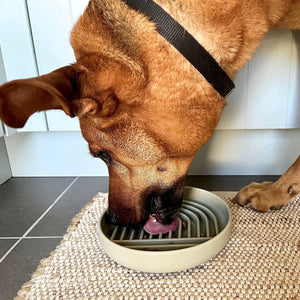 Enhance Your Pet's Dining Experience with Our Fashion Pet Slow Feeding Bowl