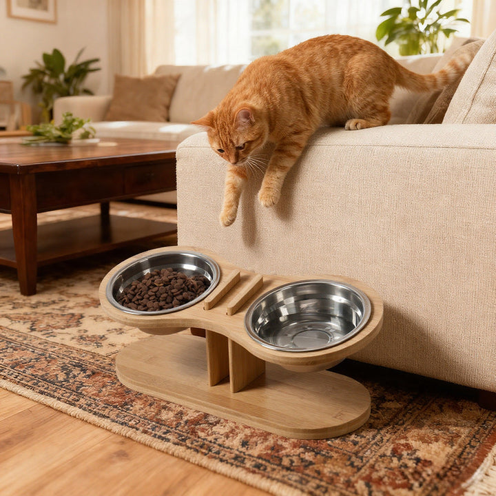 Enhancing Your Pet's Dining Experience with the Adjustable Tilted Pet Stand