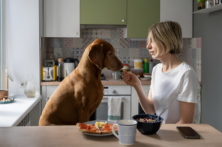 Healthy Pet Feeding Habits For Happy Companions