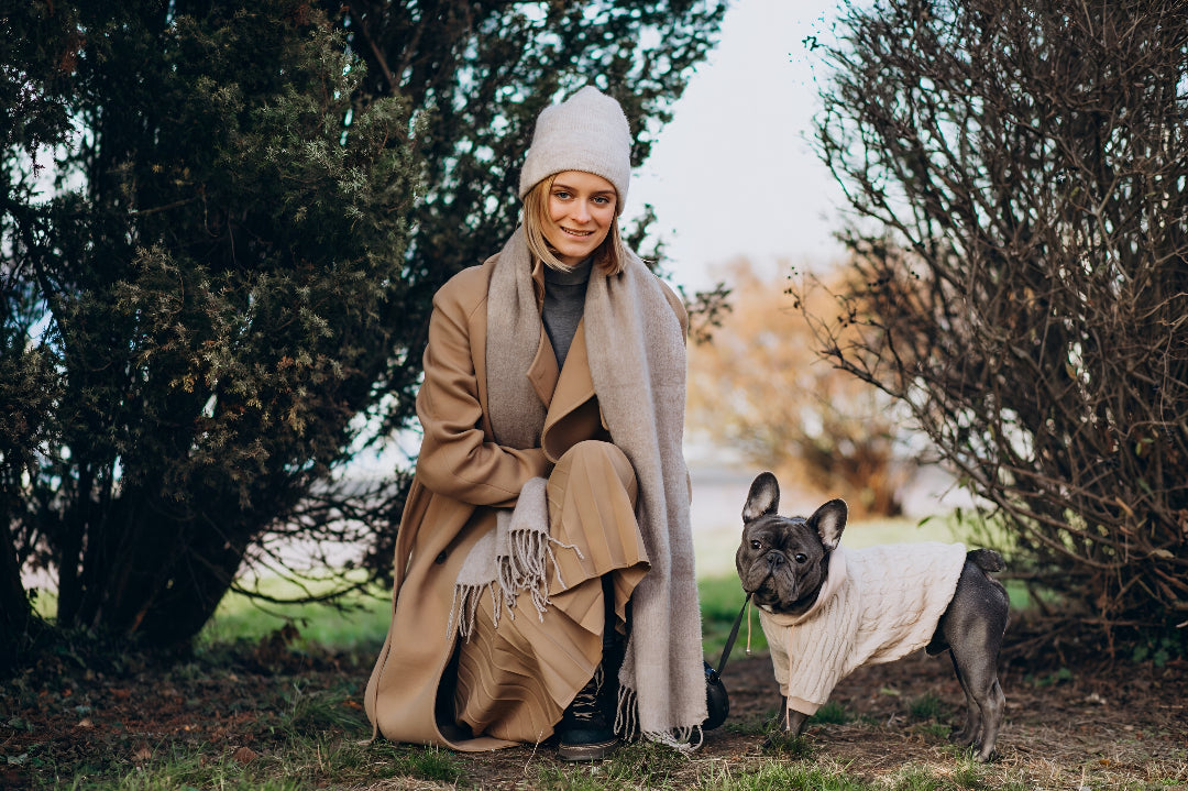 Stylish Pet Clothes For Every Season Comfort